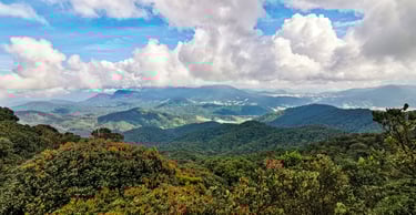 Cameron Highlands