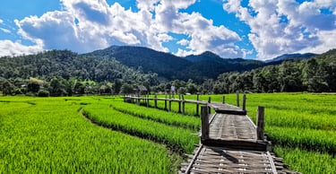 Bamboo Bridge - Pai