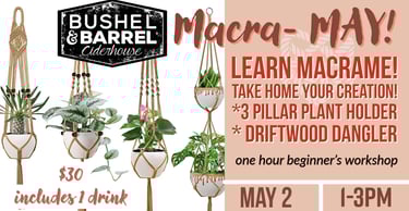 Bushel and Barrel Ciderhouse macrame workshop flyer featuring hanging indoor plant holders and event details.