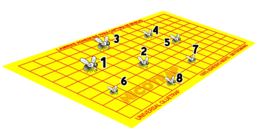 conteo de moscas en placas adhesivas de captura de moscas