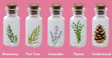 a collection of bottles of essential oils