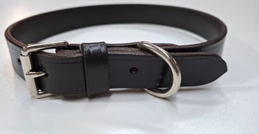 NP fitting dog collar