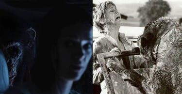 Primate (2025) and Cujo (1983)