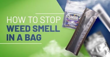 Weed stored in a backpack with odor concern