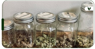 Simple weed storage setup at home