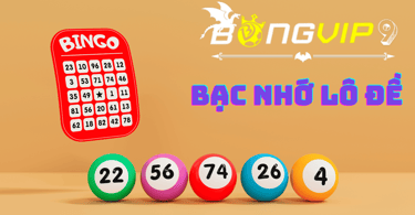 bacnho-bongvip