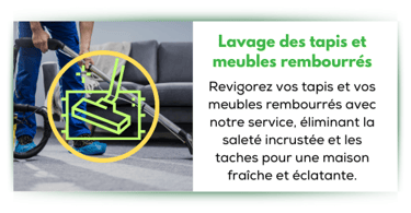 lavage des tapis et meubles rembourrés