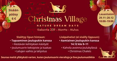 Christmas village aukioloajat