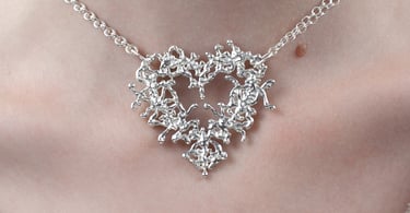photo du collier porté
