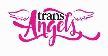TransAngles Logo