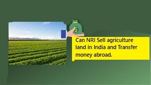 NRI sale aggiculture land in India and transfer money abroad.