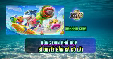 Kinh nghiệm bắn cá xd68 quản lý đạn và vốn hiệu quả