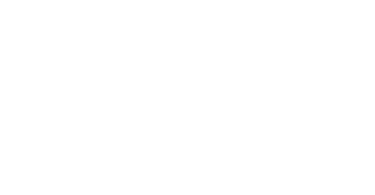 The type1wild.com logo - David Kindness's photography website