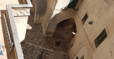 installazione di rete per volatili
