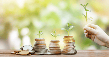 Financial planner