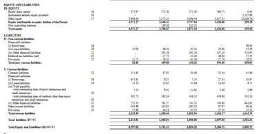 liabilities balance sheet_ixigo business analysis