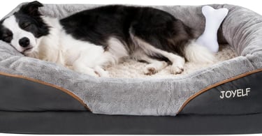 Dog Bed