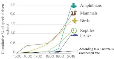Graph of the rate of species extinction since 1500