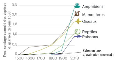 Graphique de l'évolution du taux d'extinction des espèces depuis 1500