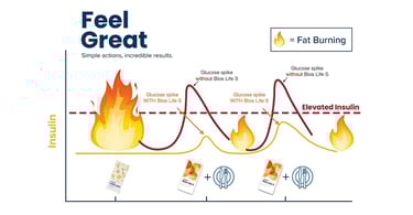 feel-great-fat-burning