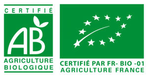 BIO FR-BIO-01 tisane infusion thé sorcières