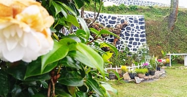Flower and garden corner at Nobel Bungalow Nuwara Eliya with stone wall decor
