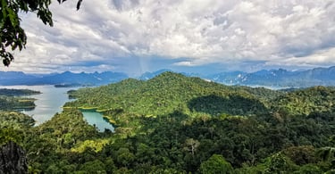 Khao Sok National Park