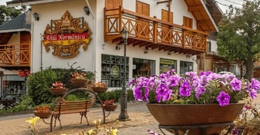 Avenida principal de Monte Verde com loja com arquitetura alpina, flores roxas em primeiro plano 