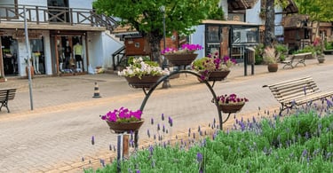 Avenida principal de Monte Verde, com flores e lavandas, e lojas em Monte Verde, Sul de Minas