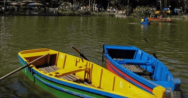 Barco amarelo e azul, com lago verde no Parque Municipal de Belo Horizonte