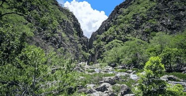 Cânion das Bandeirinhas, na Serra do Cipó, com paredões rochosos, vegetação verde e curso d’água
