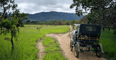 Um charrete com um cavalo, uma motanha e natureza na Serra do Cipó