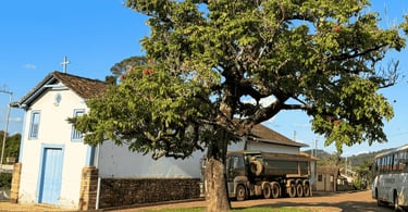 Capela do Senhor Bonfim de cor branca e azul, e grande árvore a frente em Morro D'Água Quente MG