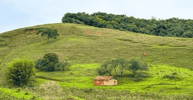 Paisagem rural em Bichinho MG com pequena casa, morros verdes e vegetação típica do interior