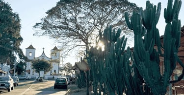 Rua no centro de Acuruí, Minas Gerais, com cactos em primeiro plano e a igreja matriz ao fundo