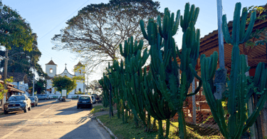 centro histórico e turistico de Acurui, com uma igreja historica ao fundo e vegetação nativa