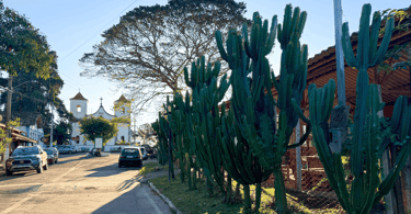 Centro histórico de Acuruí, com vegetação nativa ao lado com a Igreja Matriz ao fundo