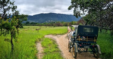Vegatação, trilhas, charrete e montanhas na Serra do Cipó, ponto turistico de Minas Gerais