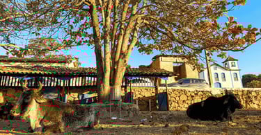 Paisagem rural de Extração Curralinho em Diamantina MG com gado, igreja histórica e casas antigas