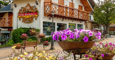 Flores e construções turisticas no centrinho de Monte Verde, distrito turistico em MG