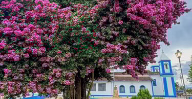 Flores, poste de luz e a Igreja Matriz de Santo Antonio do Leite, distrito turistico de Ouro Preto
