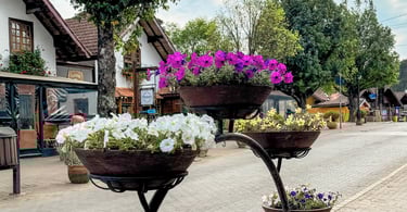 Flores e construções turisticas no centrinho de Monte Verde, distrito turistico em MG