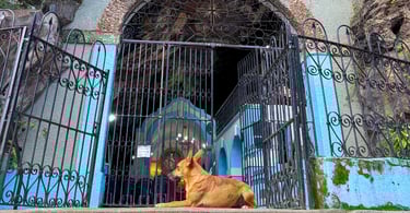 Cachorro em frente a gruta que é uma igreja historica e ponto turistico em Antonio Pereira MG