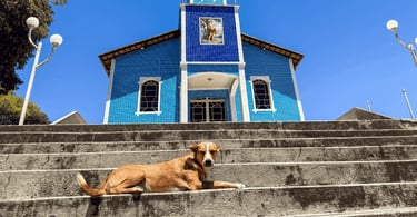 Igreja azul em Hermílio Alves MG com escadaria de concreto, cachorro deitado e céu aberto