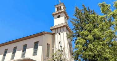 Torre alta e fachada clara da imponente Igreja Matriz de Carandaí cercada por folhagens verdes