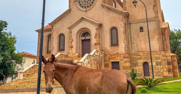 Igreja Matriz de Miguel Burnier, com um cavalo a frente dela, distrito turistico de Ouro Preto