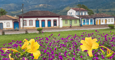 Flores amarelas e roxas em primeiro plano em Catas Altas, casarões coloniais coloridos e montanhas
