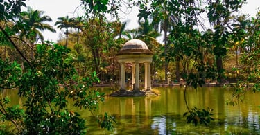 Lago do Quiosque com vegetação, no Parque Municipal de Belo Horizonte, ponto turistico em MG