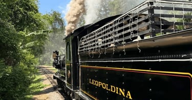 Maria-fumaça em Passa Quatro MG passando pelos trilhos cercados pela vegetação