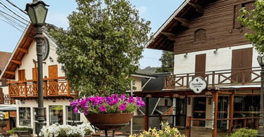 Arquitetura charmosa de Monte Verde MG com chalés em estilo alpino, lojas, flores e clima serrano